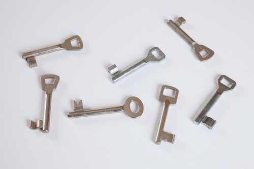 銀鱗胸甲 藍(lán)色品質(zhì) 五金一件